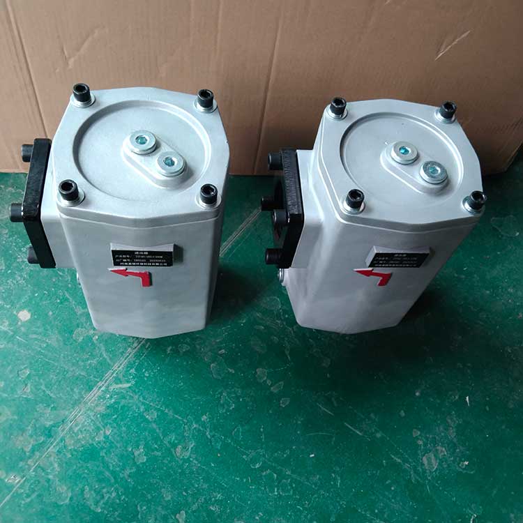 ISV40-160×100M滤油器-(5)