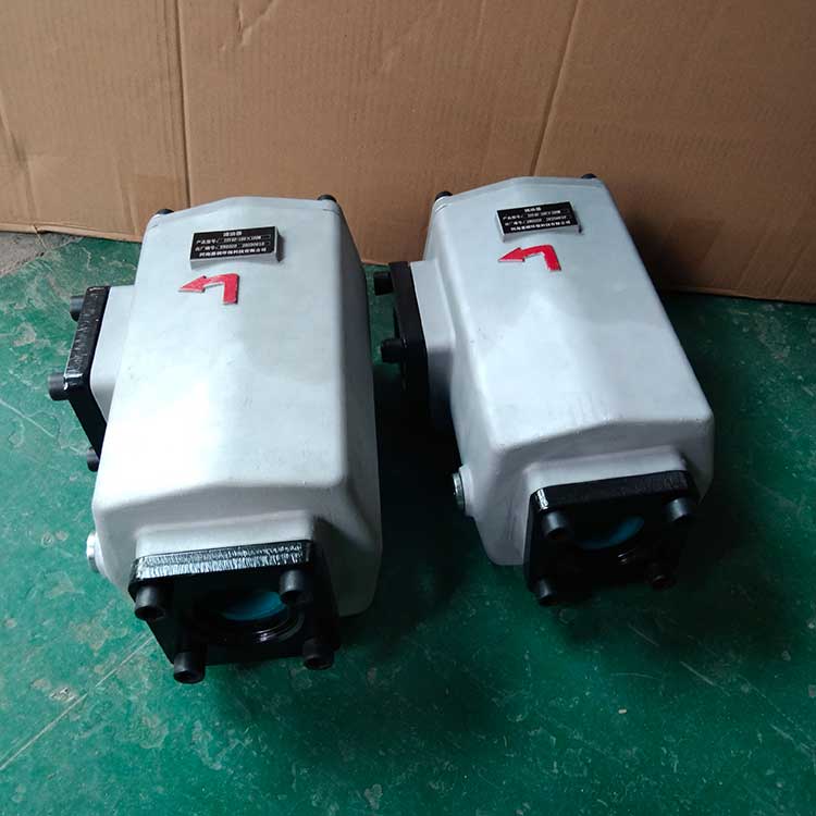 ISV40-160×100M滤油器-(1)
