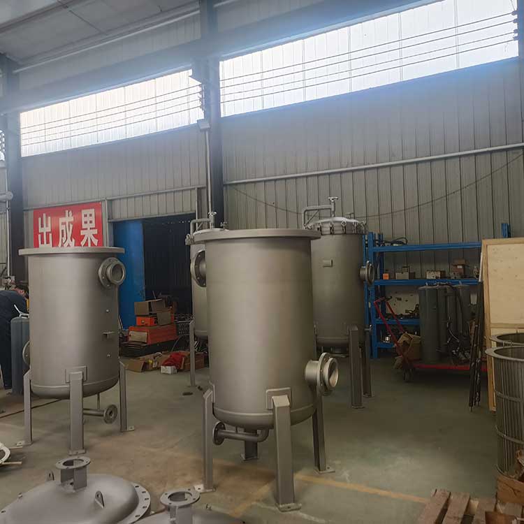 保安过滤器-(31)