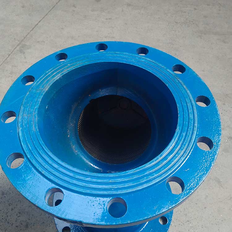 GL41H-16C-DN250-Y型过滤器-(6)