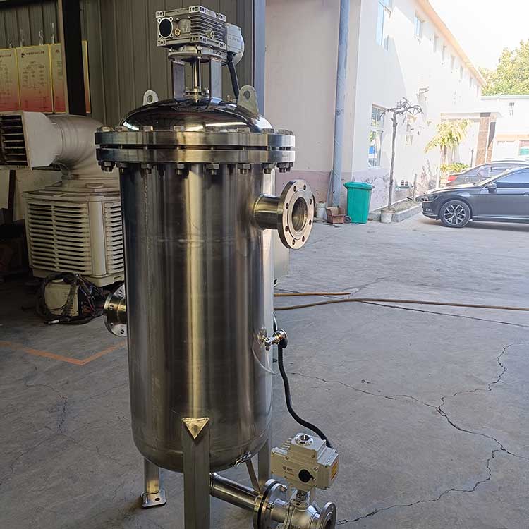 2不锈钢自清洗过滤器-(4)