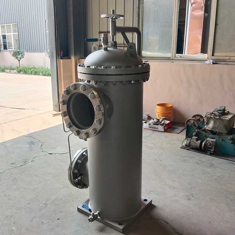 DN250-PN16过滤器-(4)