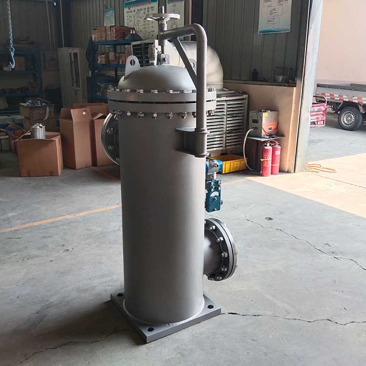 DN250-PN16过滤器-(6)