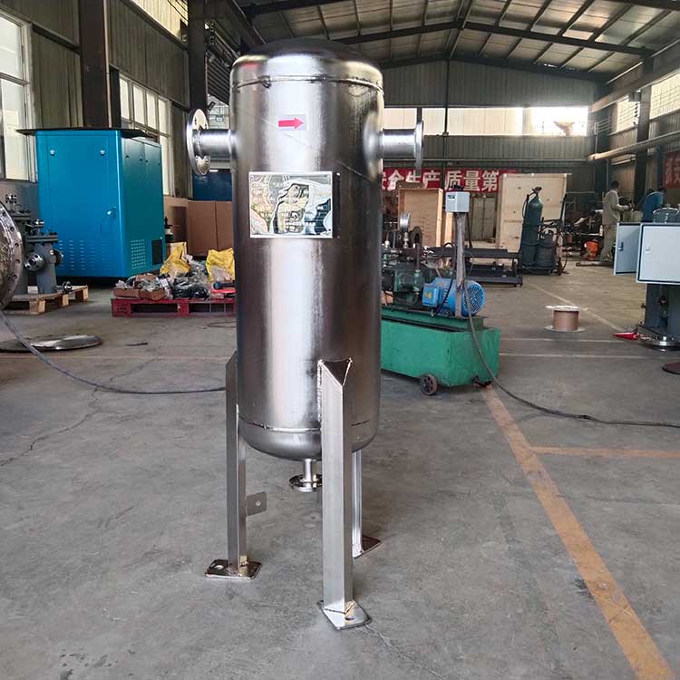 QYFLDN50气液分离器-(6)