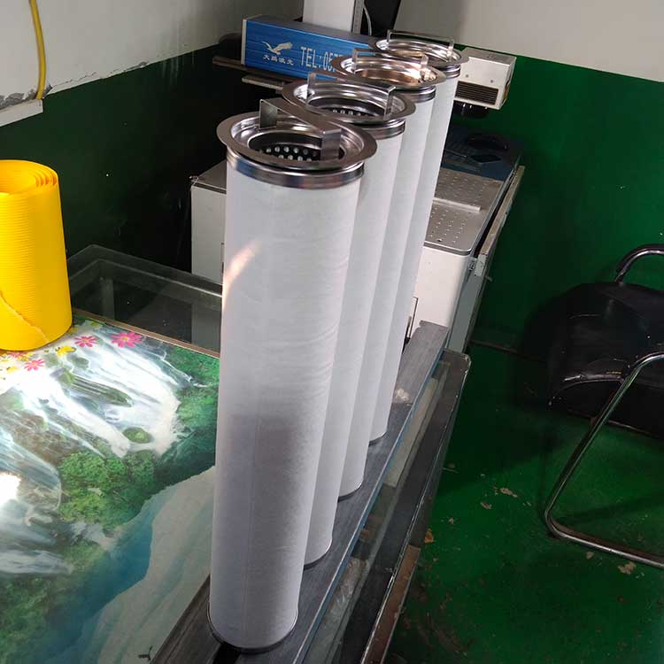 BE096520F020BQ(LCS2B1AH)聚结滤芯-(3)