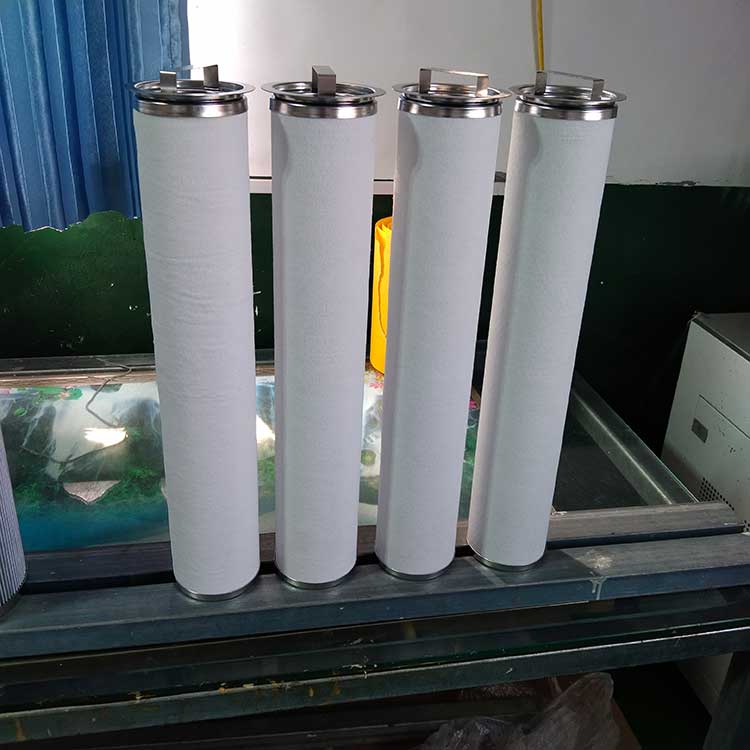 BE096520F020BQ(LCS2B1AH)聚结滤芯-(1)