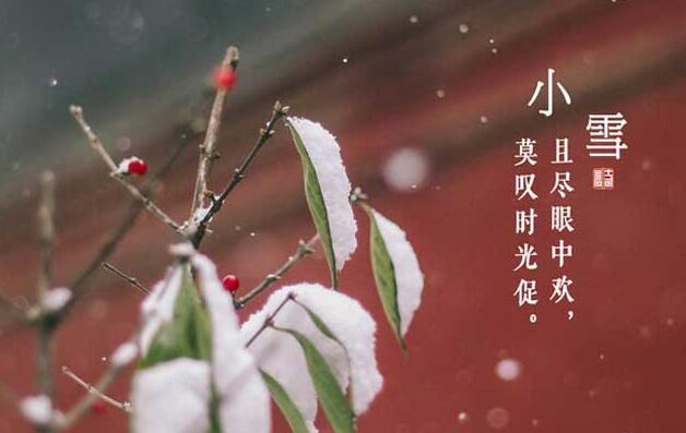 小雪节气