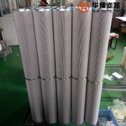 华豫生产电厂西德福双联管路滤芯LS003L10B